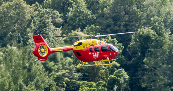 heli in front of the trees