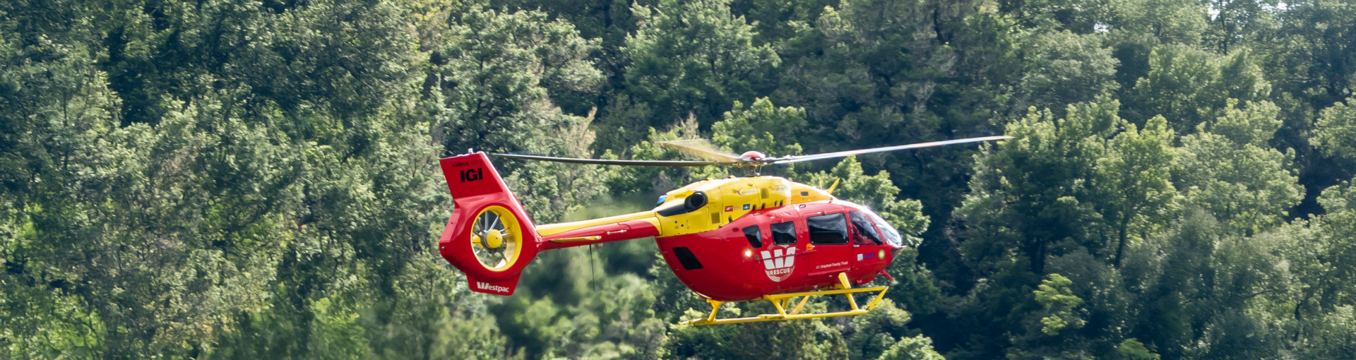 heli in front of the trees