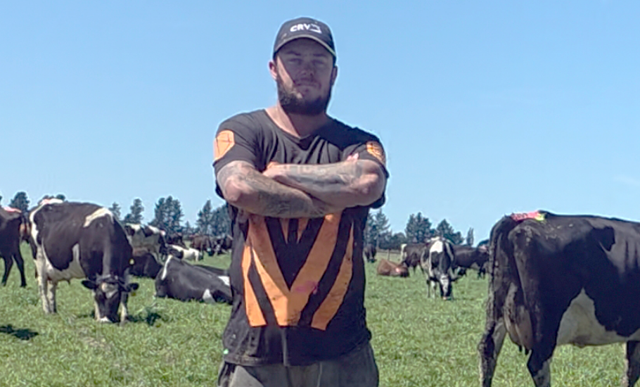 Quote Image 910 x 550 (7)