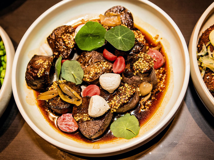 Website template 750 x 563 (2)