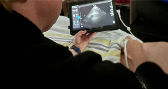 Ultrasound 1130 x 600